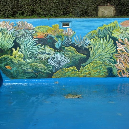 Foto del proyecto