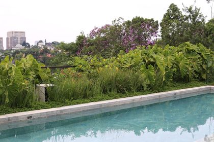 Pileta moderna con jardín vertical y vista urbana al fondo — proyecto Residência MP, por Gil Fialho