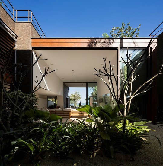 Patio moderno con plantas y ventanal hacia living interior luminoso — proyecto West Whales, por Gil Fialho