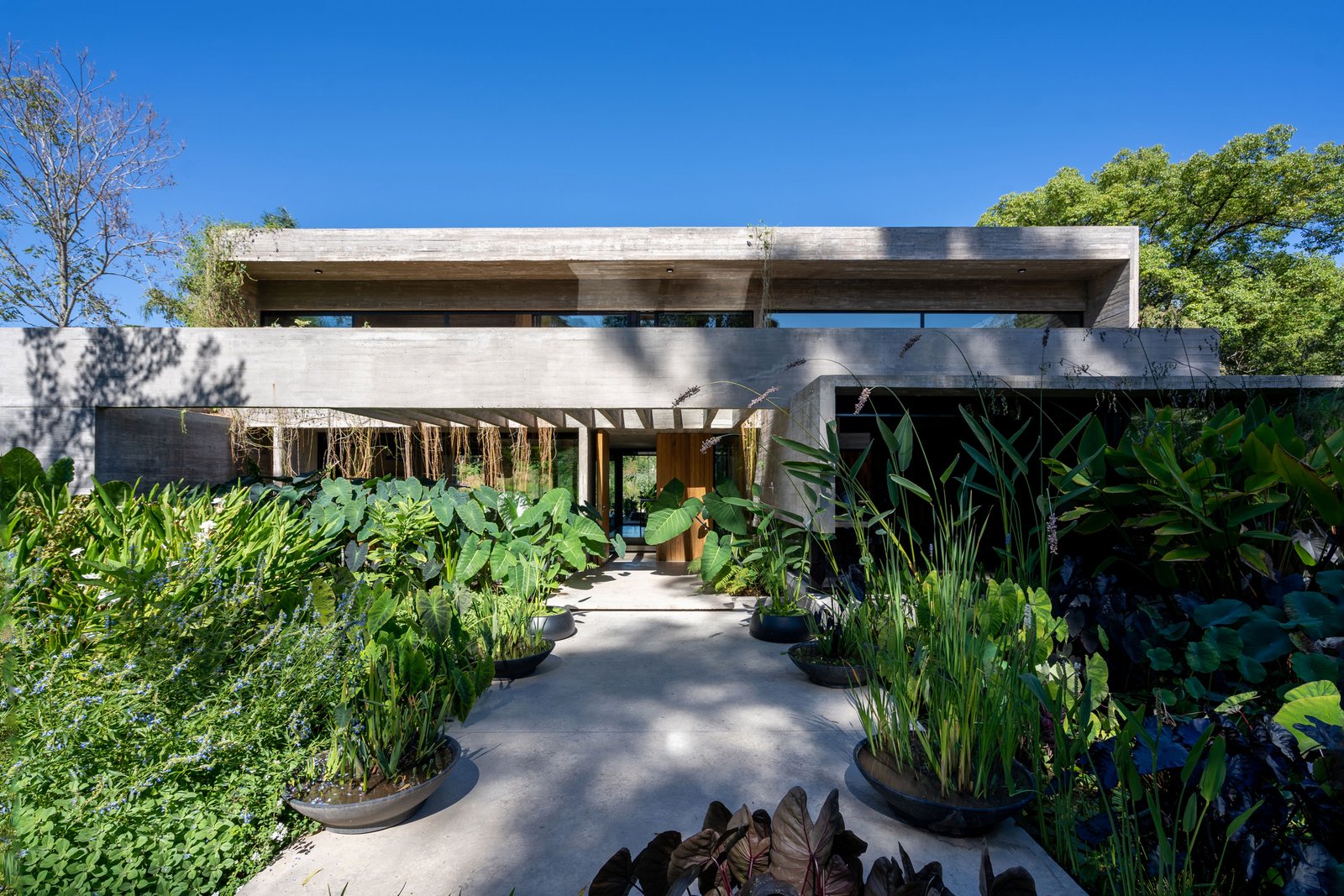 Fachada moderna brutalista con abundante vegetación — proyecto Casa Leloir, por Besonías Almeida arquitectos, en Parque Leloir