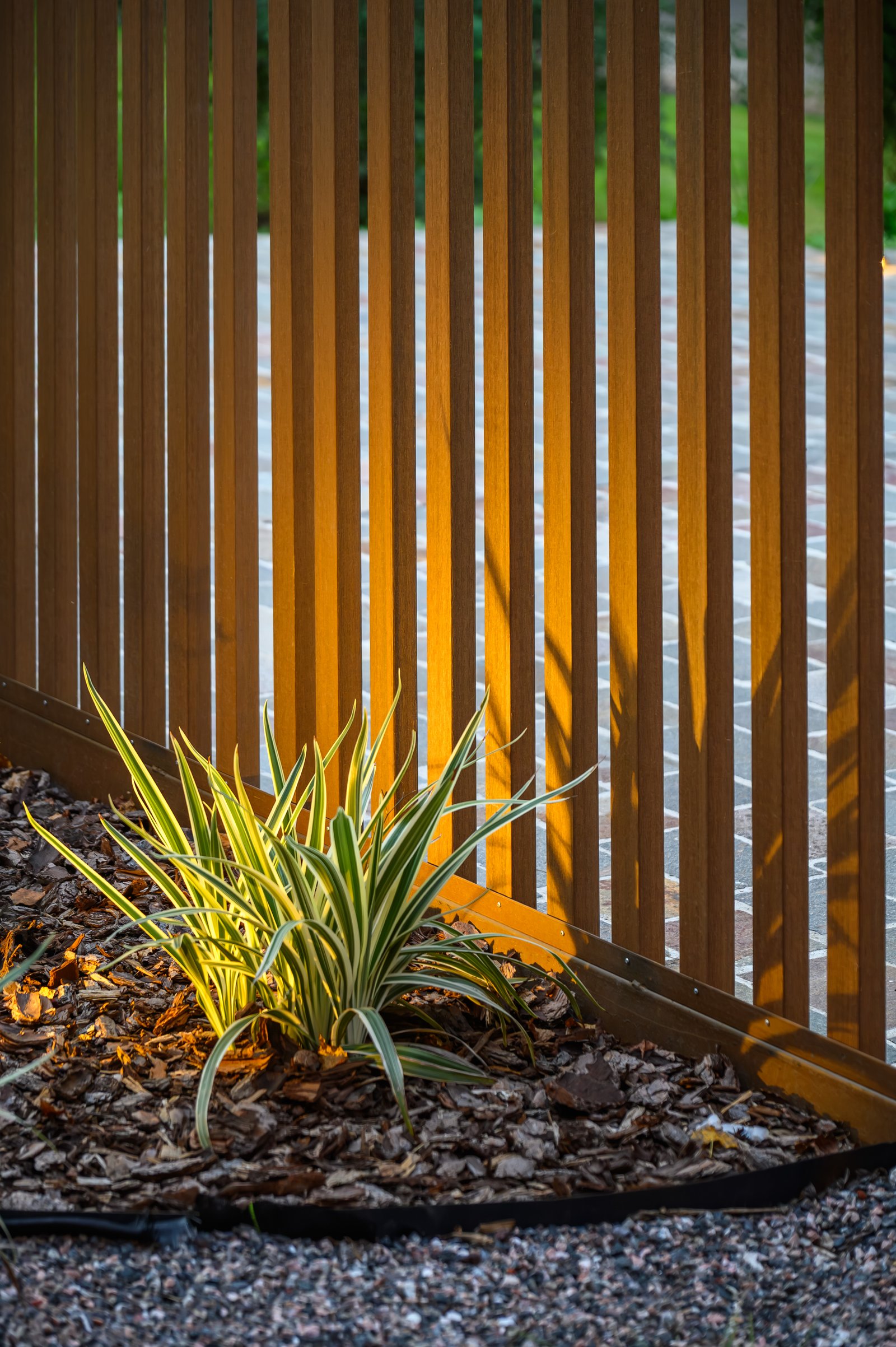 Jardim moderno com revestimento de madeira e plantas ornamentais — projeto Obra Las Delicias, por lifecycle, em Ciudad de Córdoba