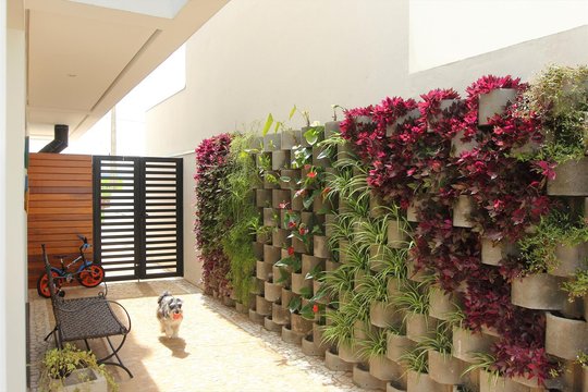 Foto del proyecto