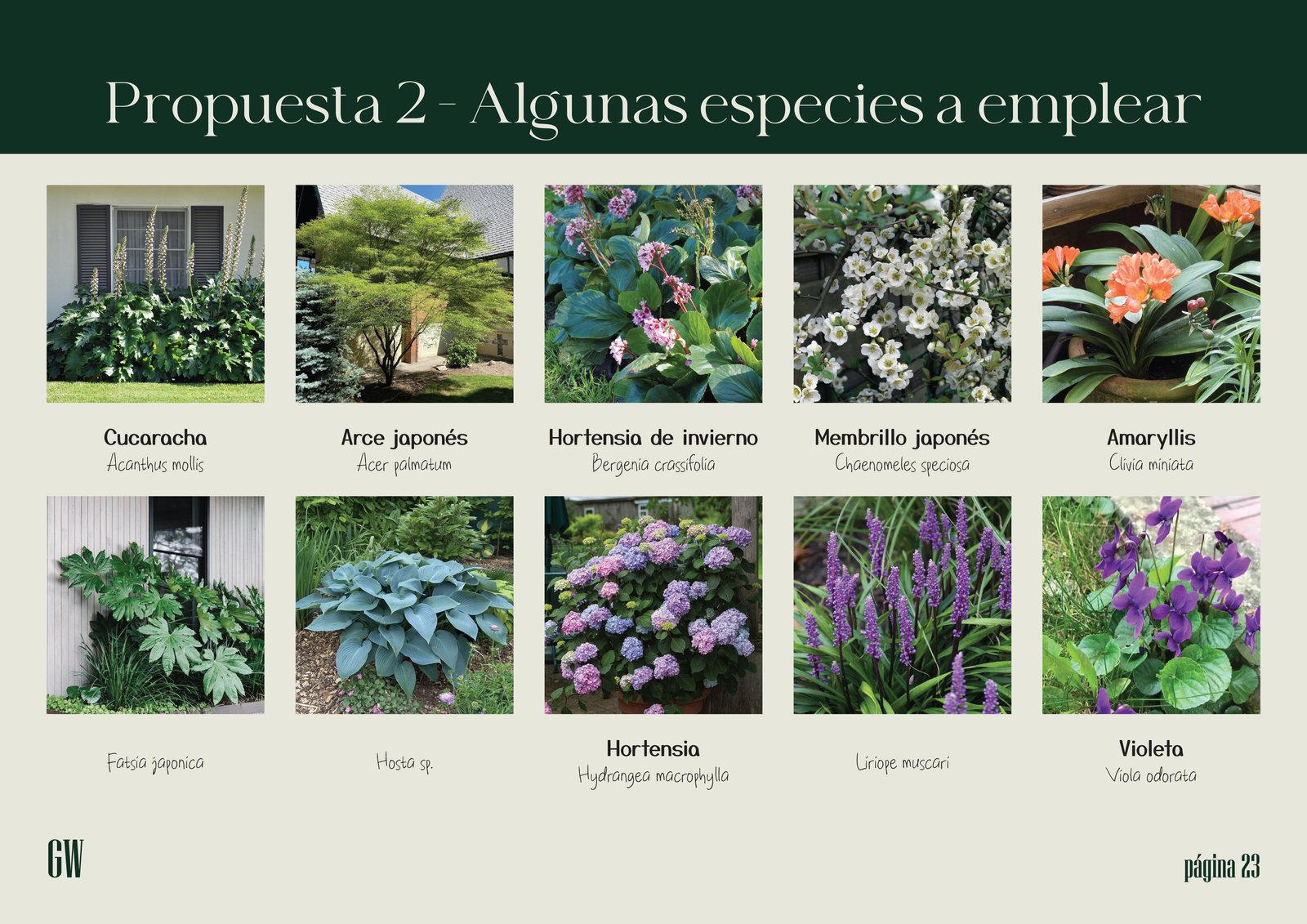 Muestrario de plantas ornamentales para jardines y exteriores — proyecto Proyecto Alem, por Greenwood Paisajismo, en Alem 540