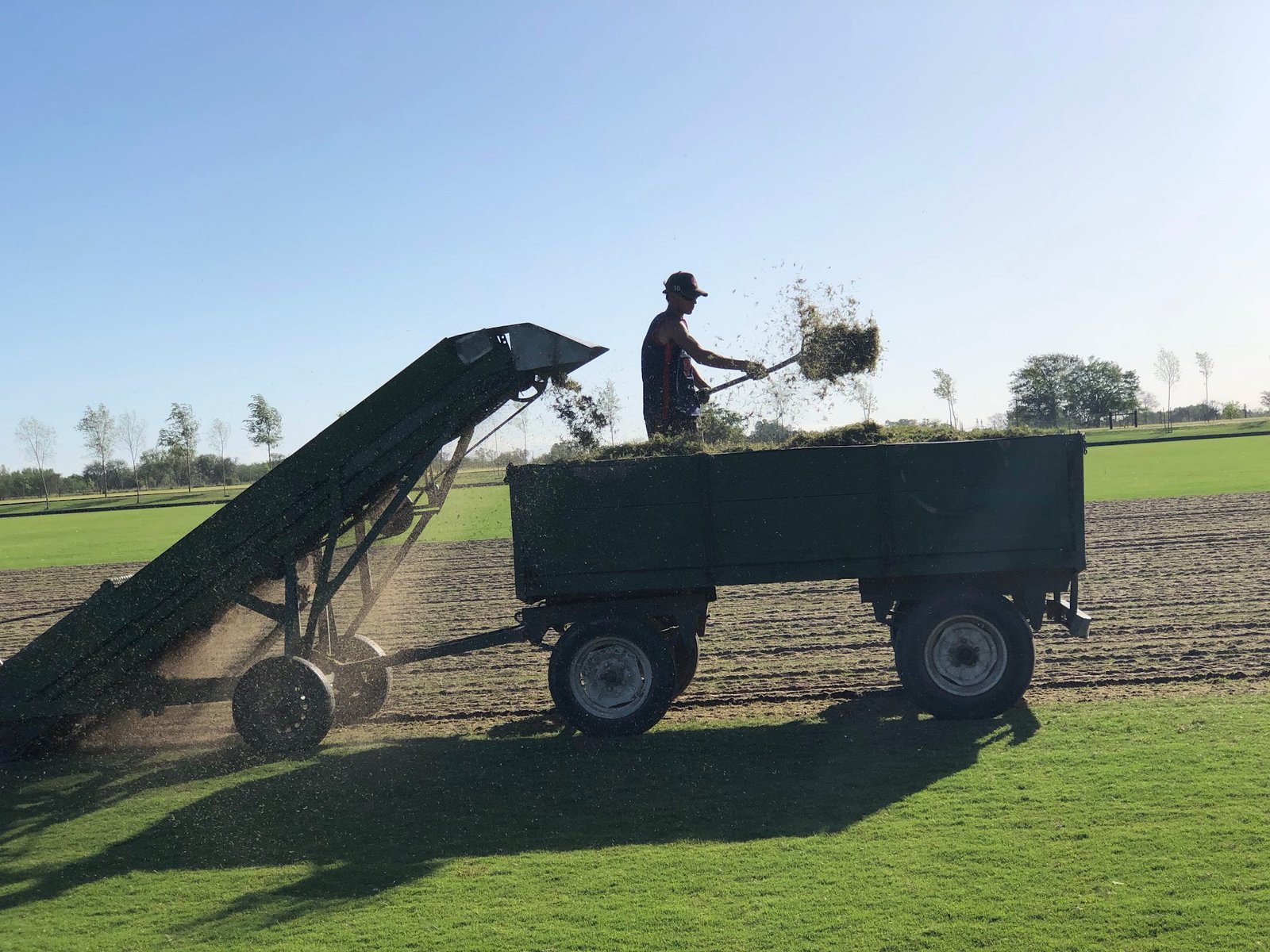 trabalho rural com cortador de grama — projeto Plantación Club Náutico de San Isidro, por Cynodon, em Av. Bartolomé Mitre 1999