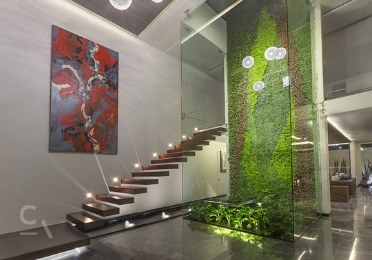 Foto del proyecto