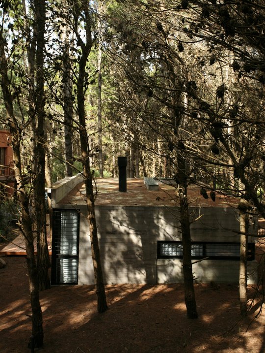 Foto del proyecto