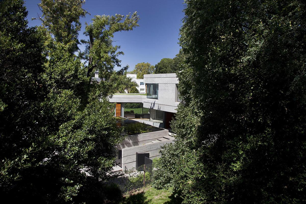 Casa moderna de concreto e vidro em meio a árvores densas — projeto Acasusso, por Remy Arquitectos, em Acassuso