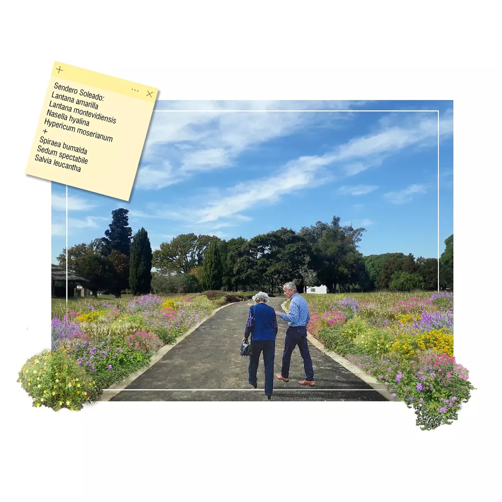 Sendero en jardín con flores y árboles — proyecto Parque Público Villa Adelina, por Estudio Rifahi, en B1607 Villa Adelina