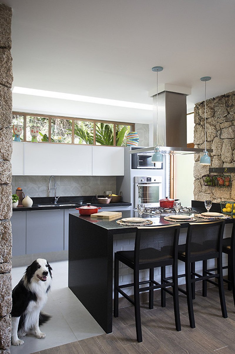 Pets: dicas de decoração para deixar seu animal seguro em casa
