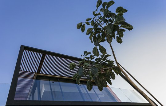 Foto del proyecto