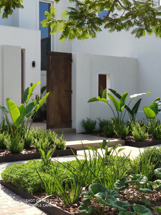 Foto del proyecto