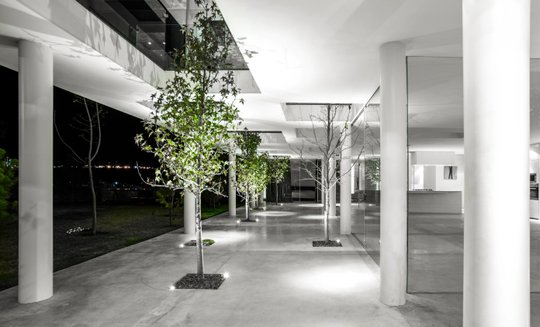Foto del proyecto