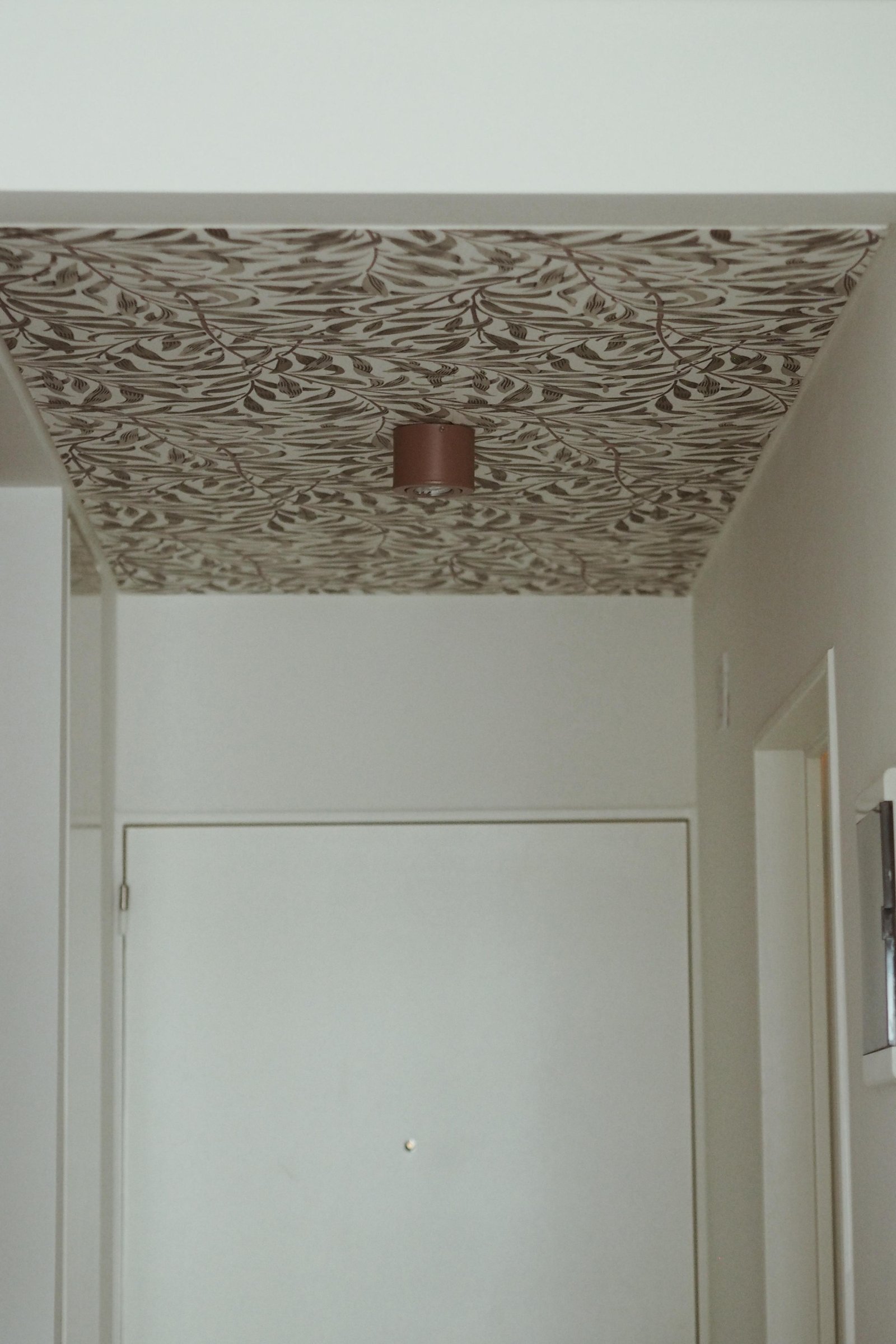 Pasillo interior con techo estampado y puerta blanca minimalista — proyecto MIGUELETES, por APATHEIA, en Buenos Aires