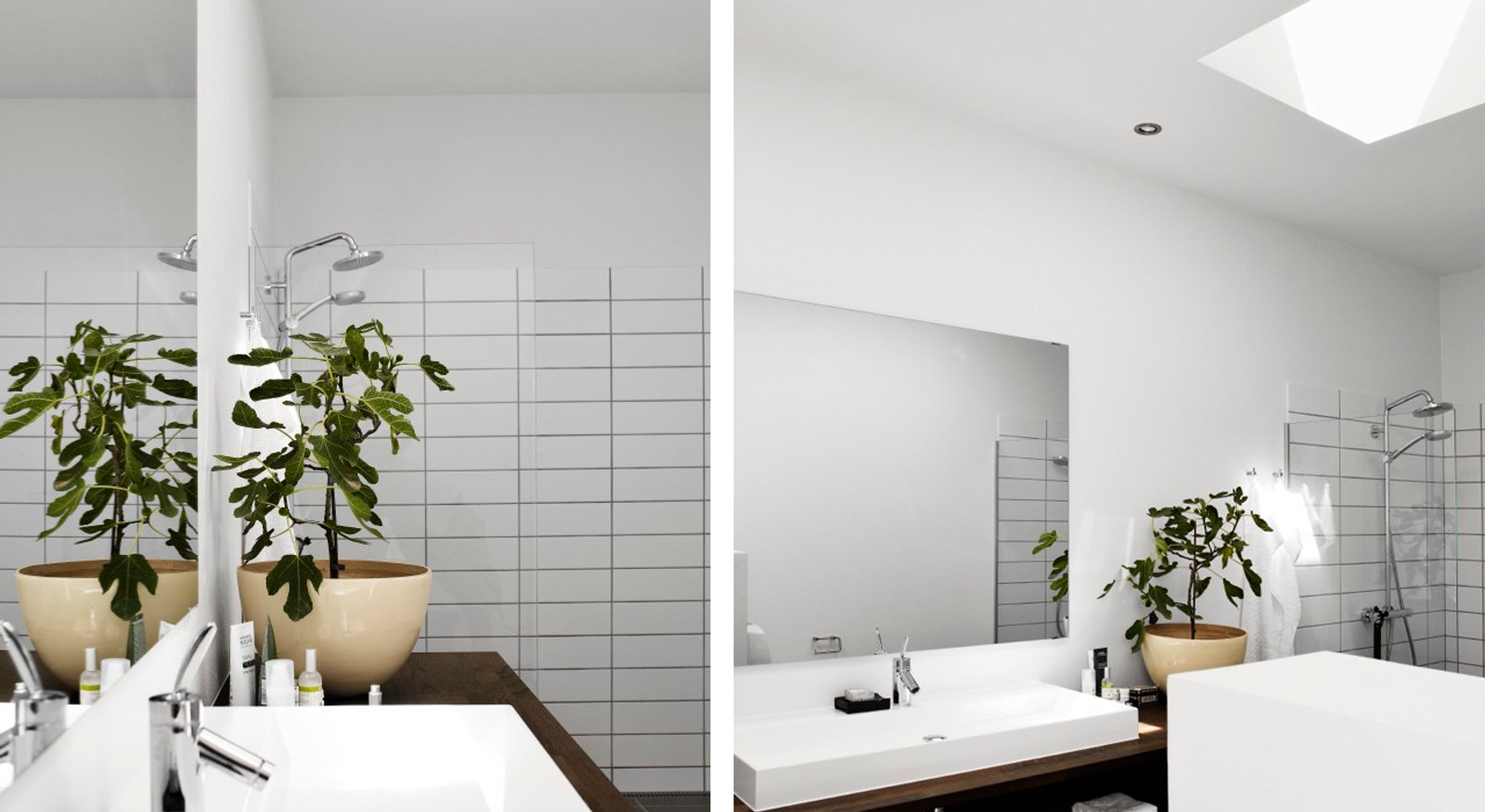 Baño minimalista moderno con plantas y luz natural — proyecto Baño, por VELUX
