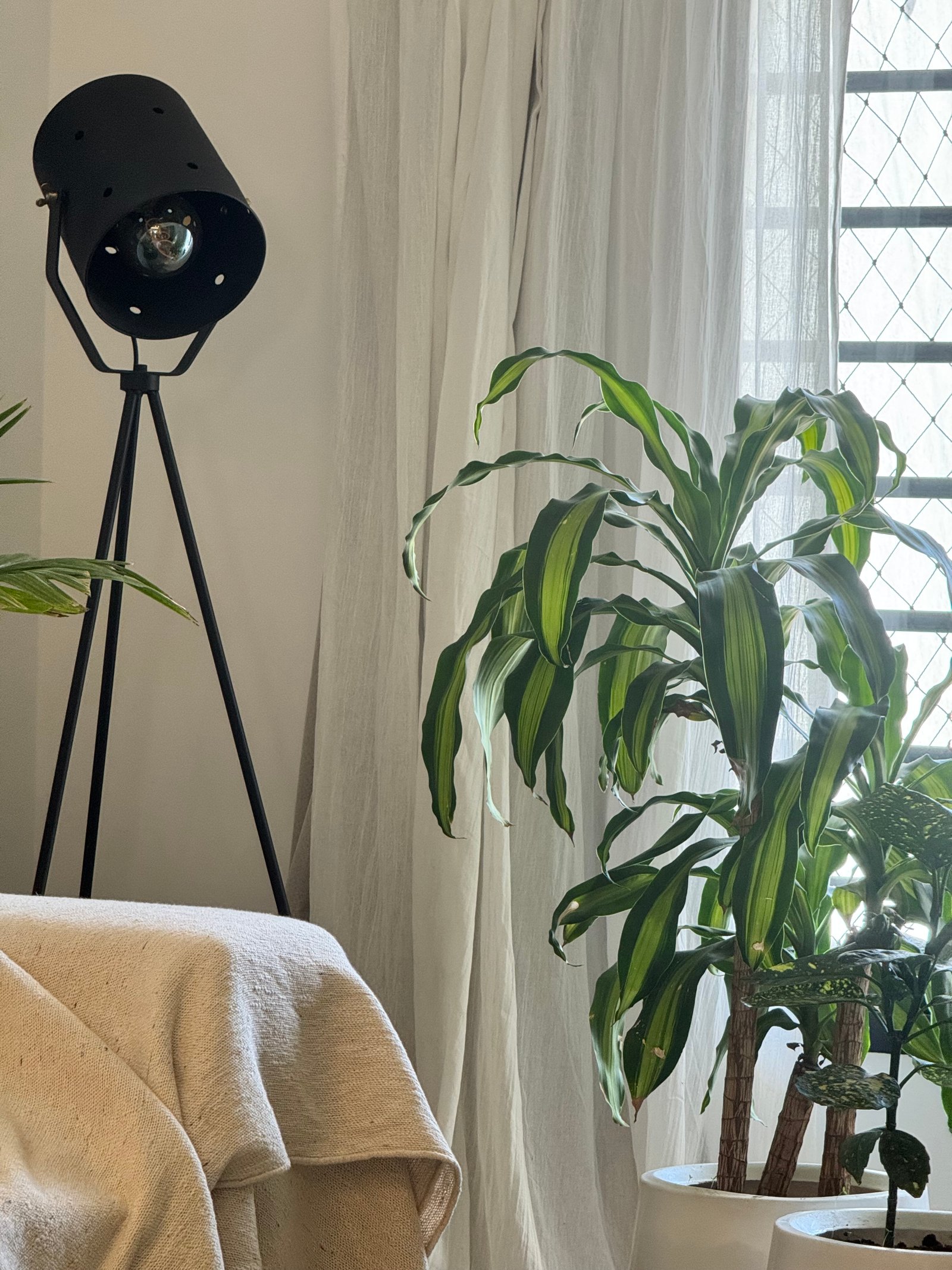 Lámpara de trípode negra junto a planta interior exuberante — proyecto CASA LEAN, por Estudio Grupo 32, en Vicente López