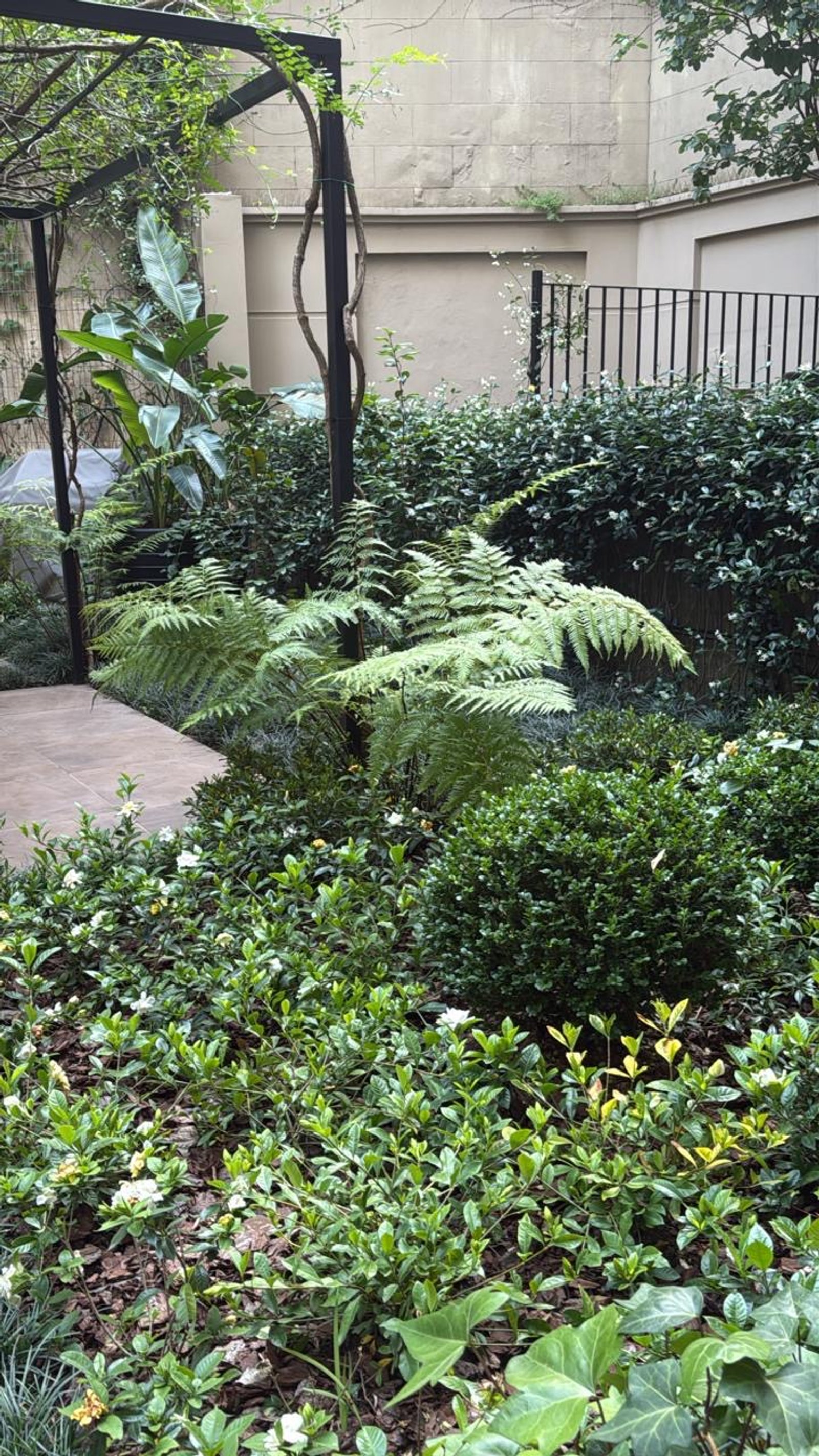 Jardín exuberante con pérgola metálica y sendero de piedra — proyecto El Patio de los jazmines , por Estudio Gardenia, en Recoleta