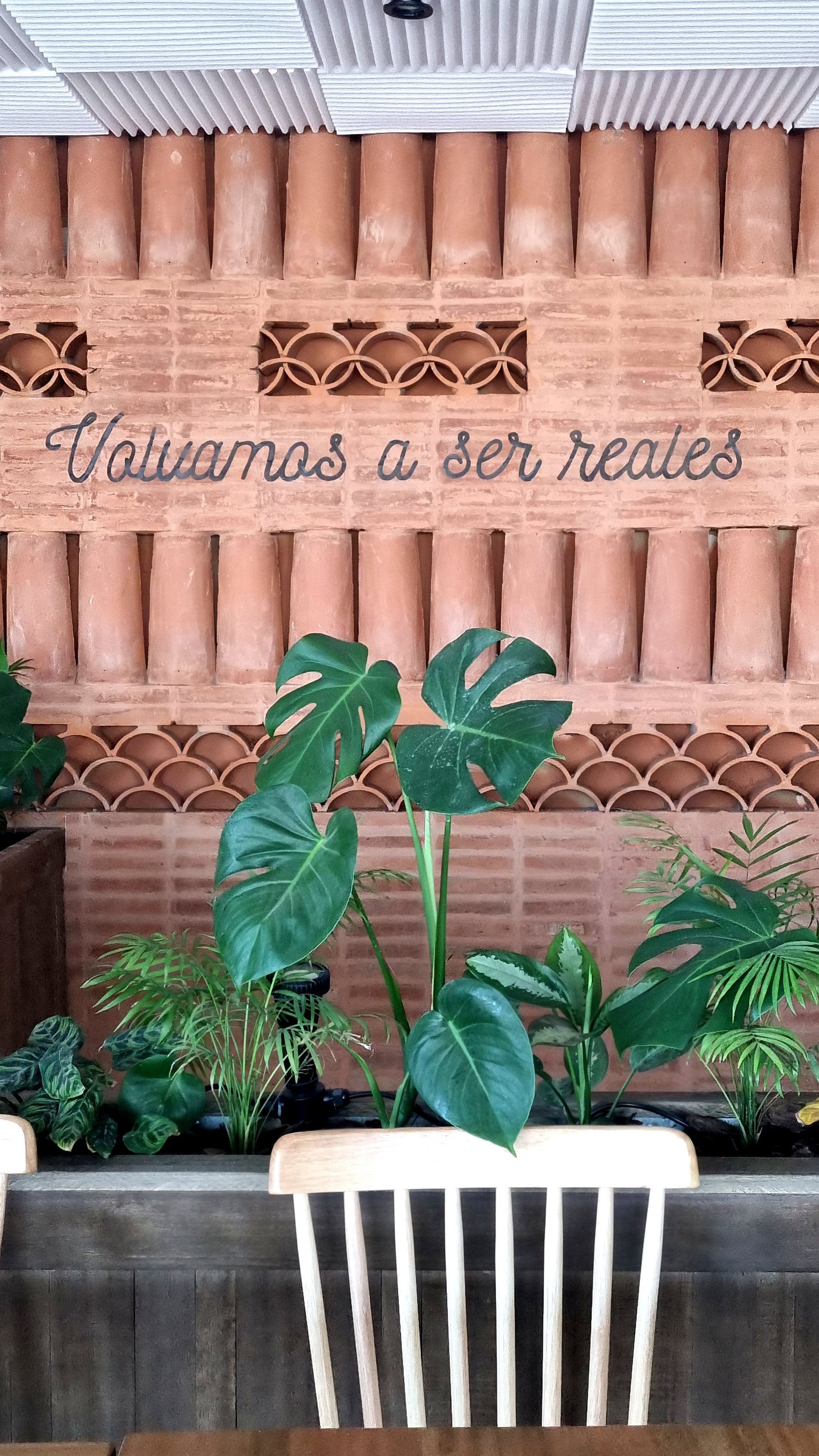 Fachada interior con ladrillos, plantas y frase motivacional — proyecto Interiorismo verde, por Marcela García Brünner Paisajista, en Au Dr. Ricardo Balbín Km 30