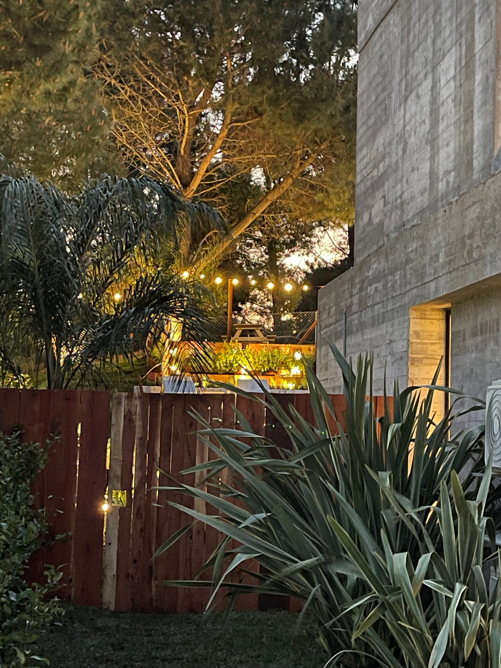 Terraza moderna con plantas y luces colgantes — proyecto COSTA ESMERALDA, por Baires Green, en Pinamar