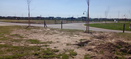 Foto del proyecto