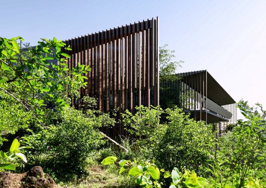 Foto del proyecto