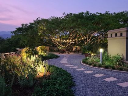 Jardín nocturno iluminado con árbol centenario y sendero de piedra — proyecto Los pasos de Justina. Club de Campo El TIPAL, por Marina Caballer