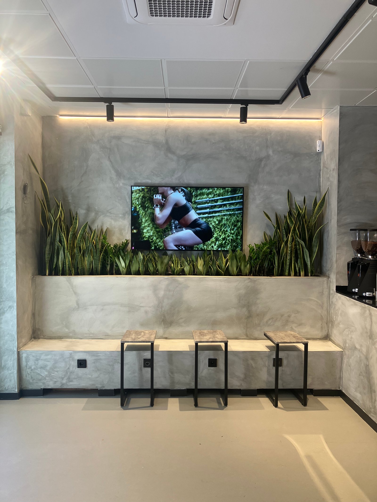 Interior moderno con pared de concreto, bancos y plantas — proyecto BIGG EIXAMPLE, por GeN Arquitectura, en Carrer del Consell de Cent