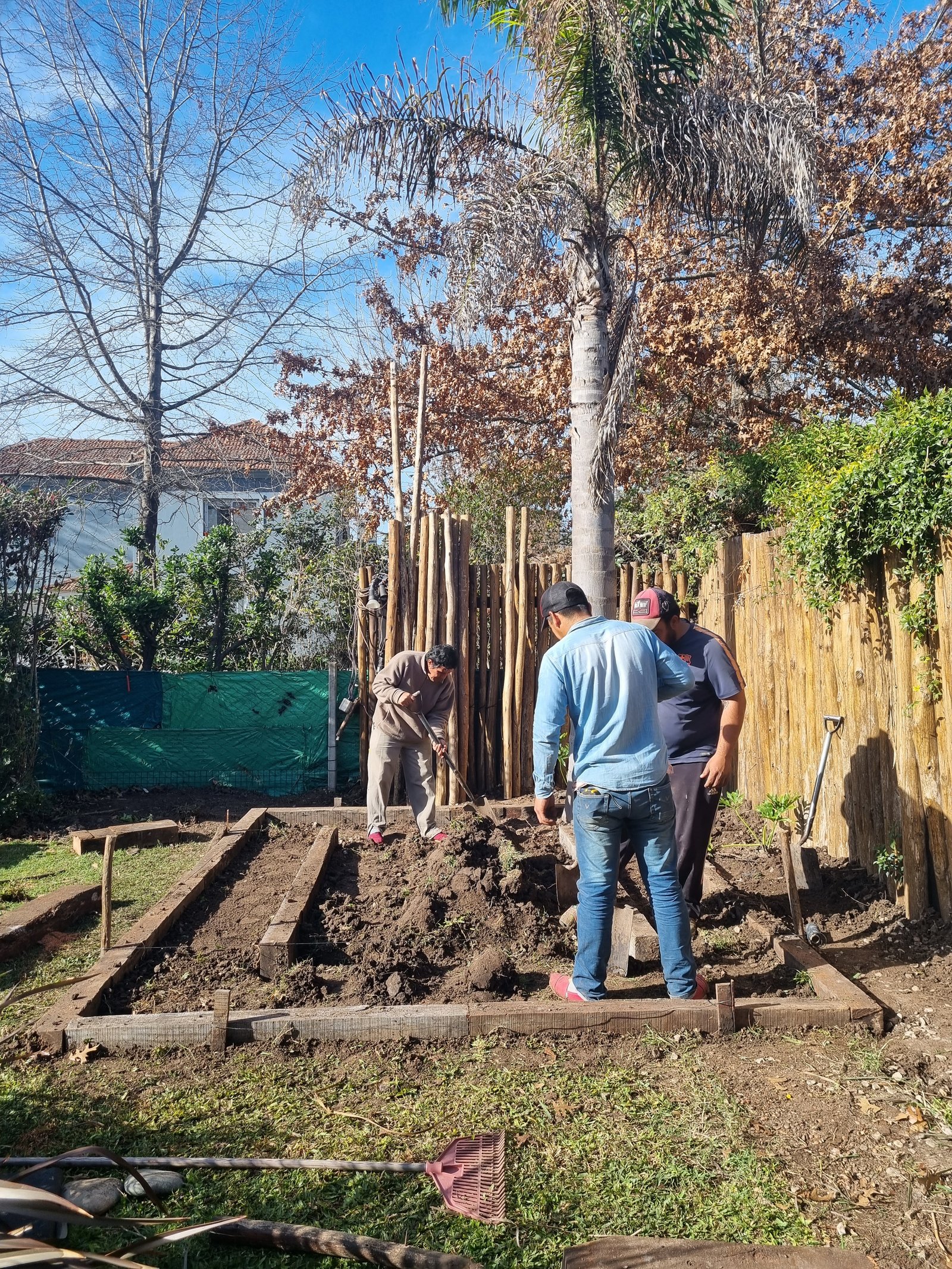 Obra de jardinería al aire libre con dos hombres trabajando — proyecto Barrio La Rinconada - Pilar, por Marcela García Brünner Paisajista, en La Rinconada