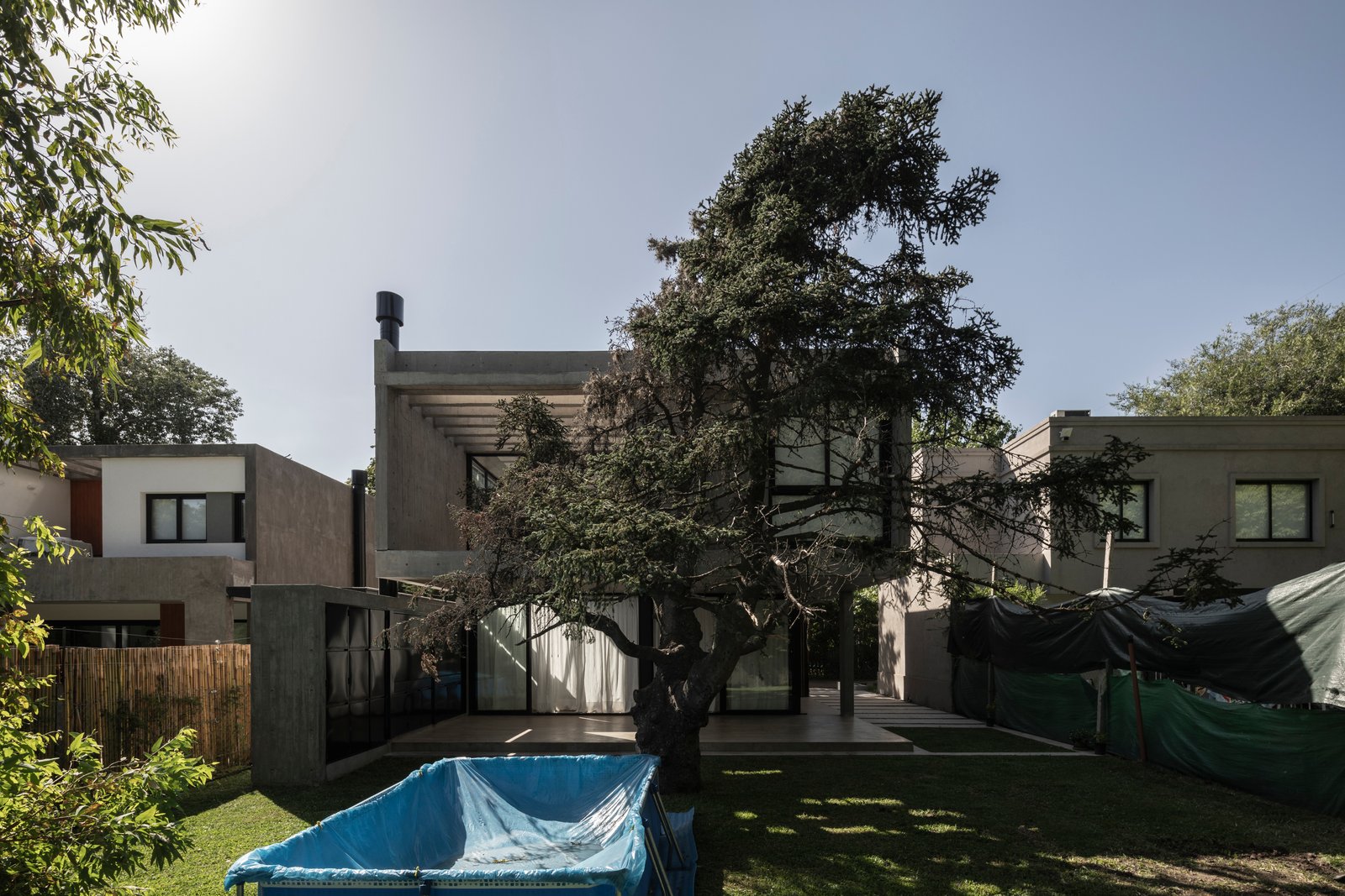 Fachada moderna con árbol orgánico y piscina en un entorno suburbano — proyecto Casa Emilia, por Grupo CRBN, en Parque Leloir