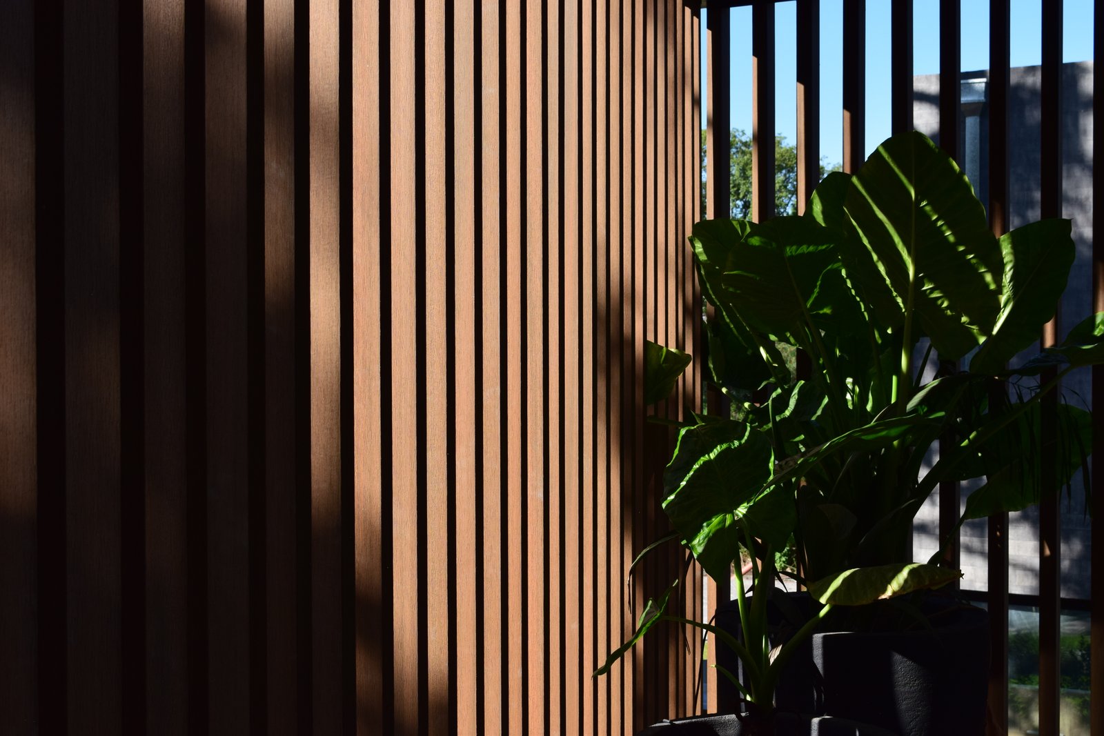 fachada moderna com revestimento de madeira e sombras — projeto Obra Highland Park, por lifecycle, em Pilar