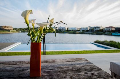 Piscina moderna con vegetación y flores, estilo mediterráneo — proyecto Casa Nordelta, por linearecta.arquitectura, en Nordelta