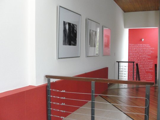 Foto del proyecto