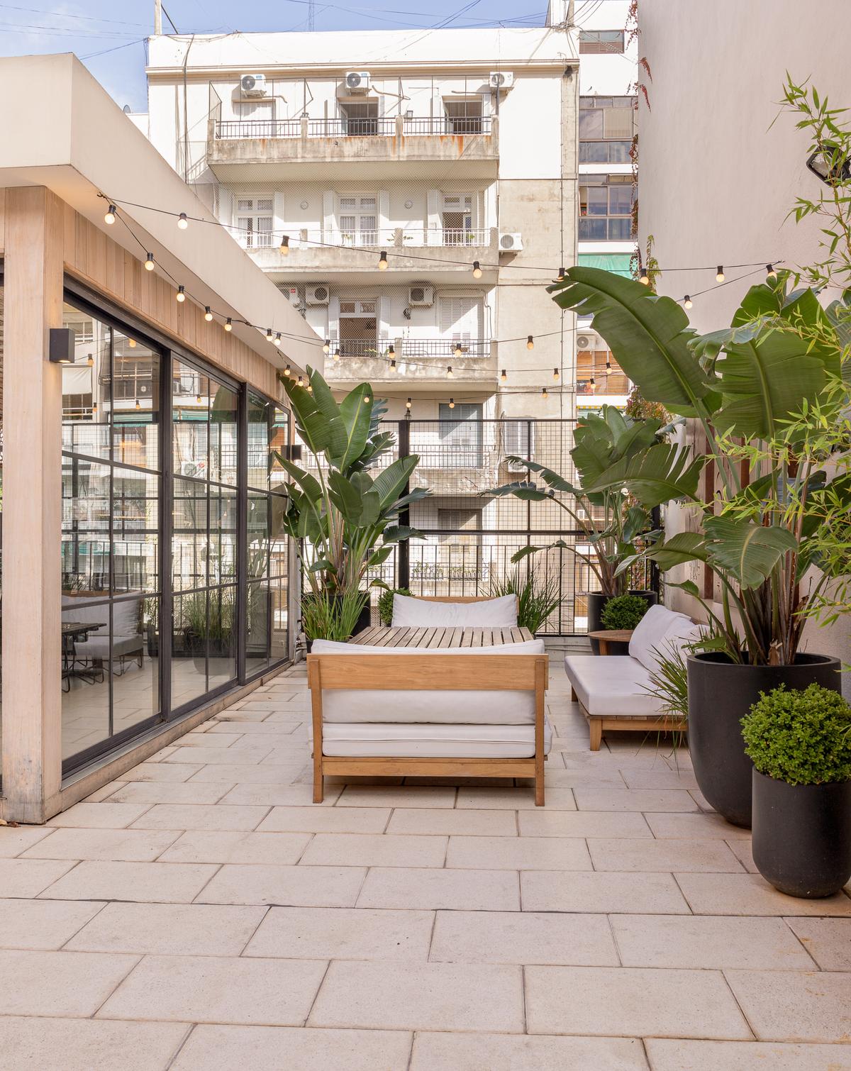 Terraço moderno com móveis de madeira e vegetação exuberante em ambiente urbano — projeto Terraza en la ciudad, por Casa Cunia, em CABA