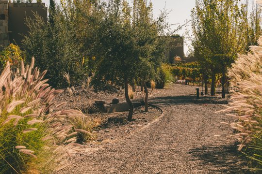 Foto del proyecto