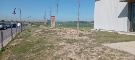 Foto del proyecto