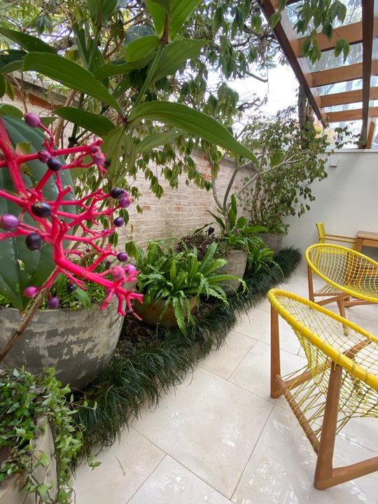 Foto del proyecto