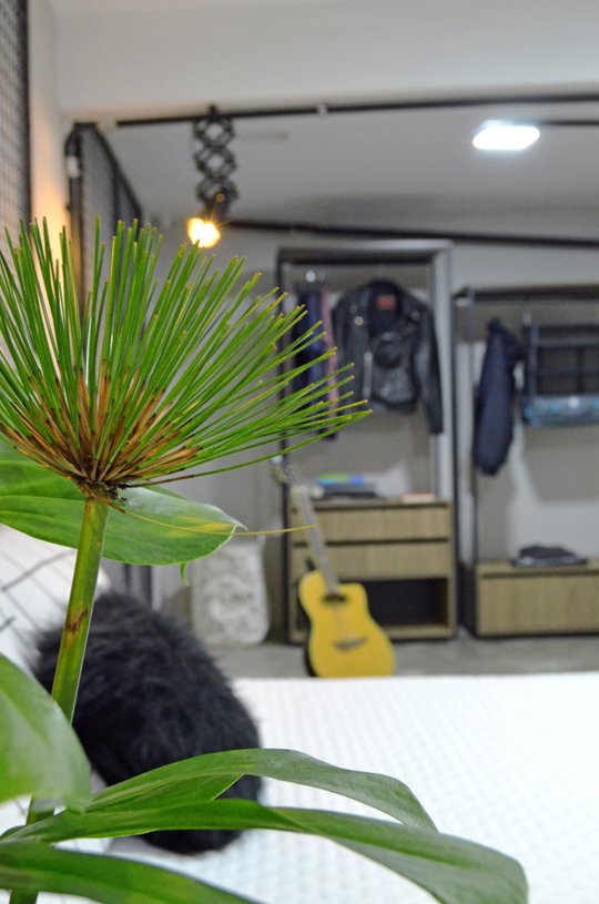 Foto del proyecto
