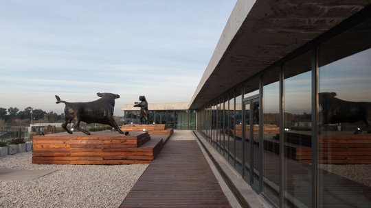Foto del proyecto