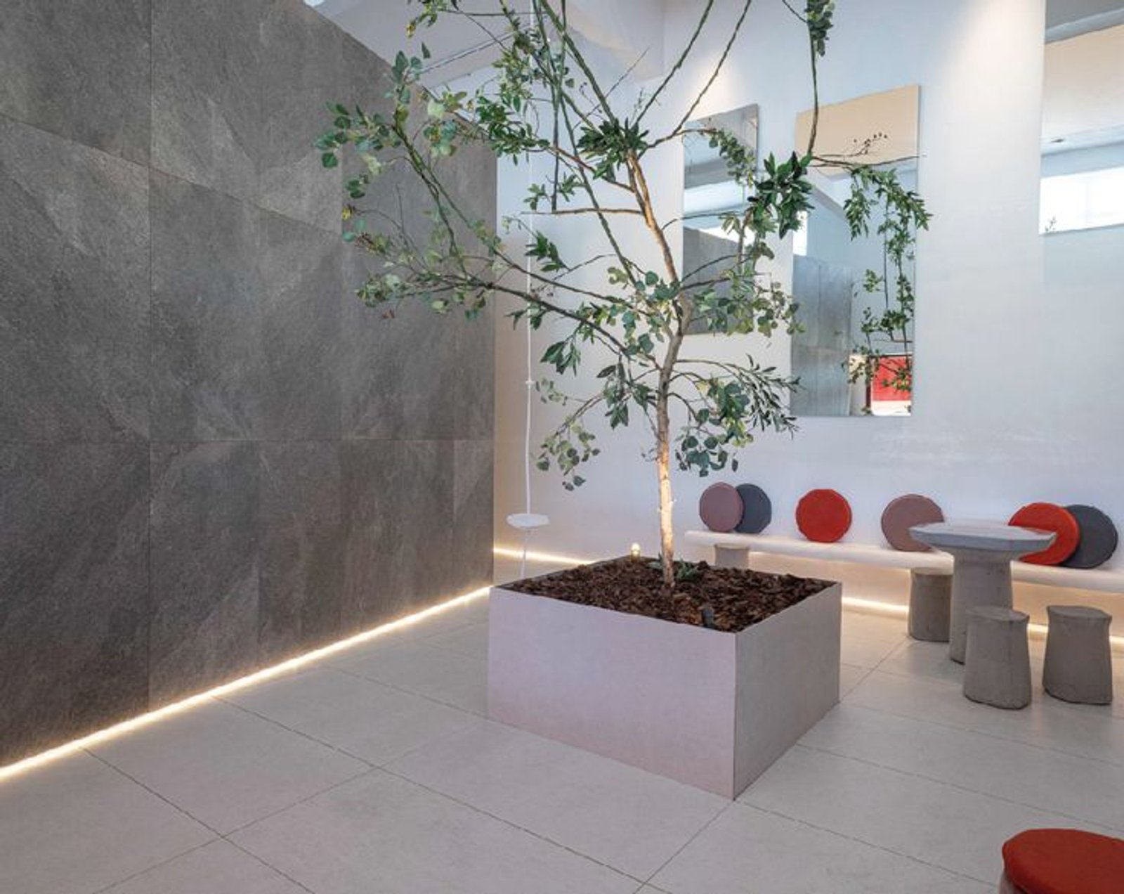 pared de piedra gris, árbol interior, estilo minimalista — proyecto Casa Foa Parque de la Innovación, por Vite Porcellanato, en Buenos Aires