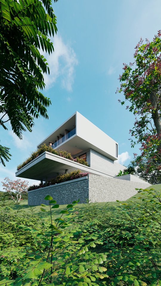 Foto del proyecto