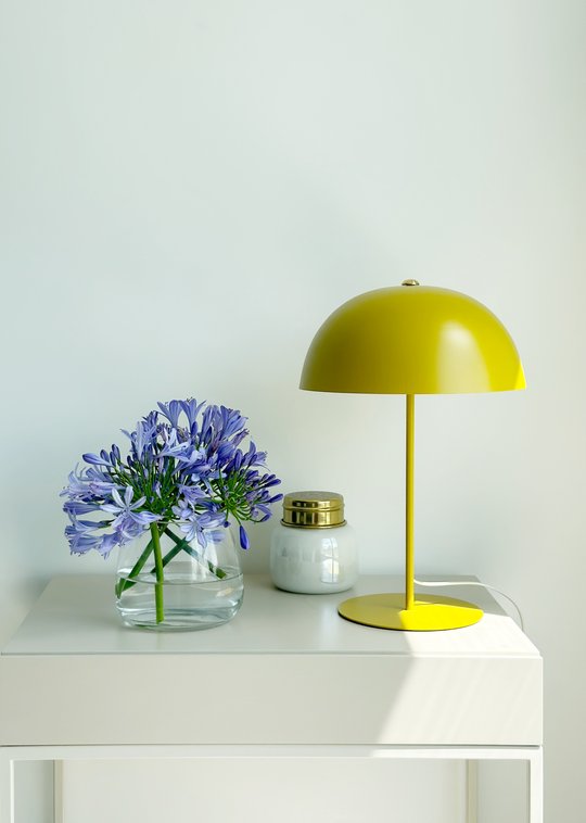 Foto del proyecto