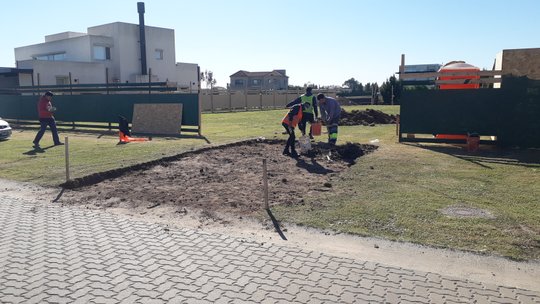 Foto del proyecto