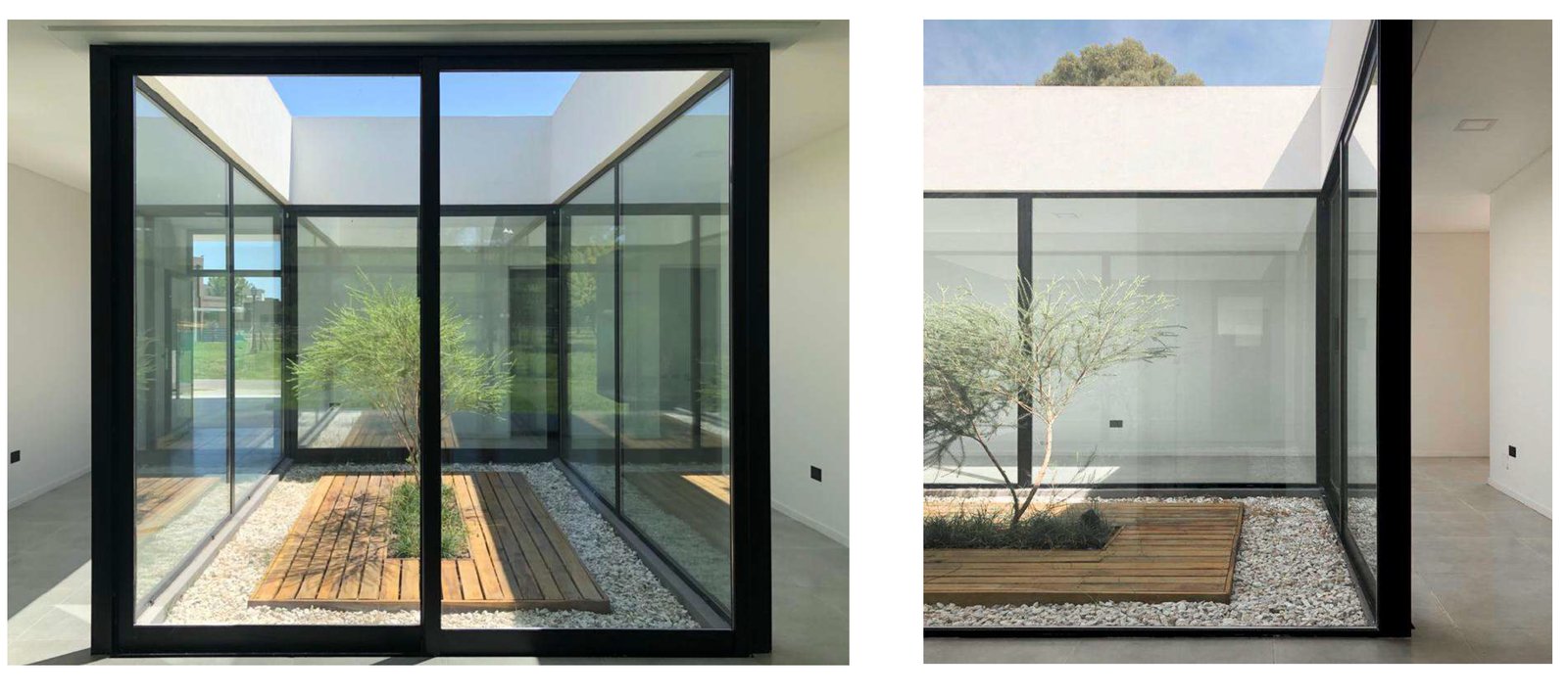 Patio interior moderno con árbol central y paredes de vidrio — proyecto Los Arces , por MMCZ STUDIO, en Pilar Centro