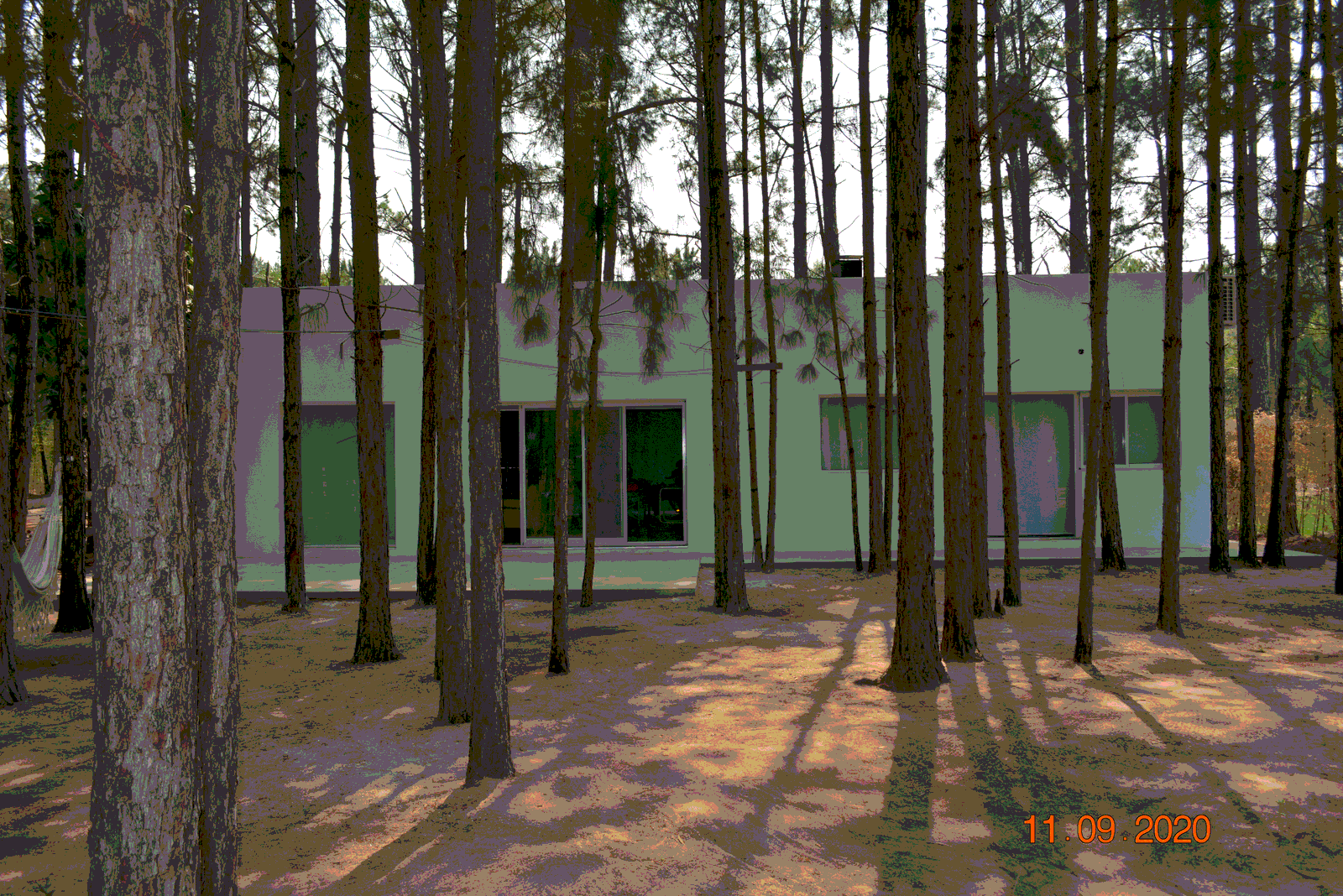 Casa moderna rodeada de pinos, fachada verde y ventanas amplias — proyecto Casa en el Bosque, por Arquitecto Gustavo Maidana, en Santa Ana de los Guácaras