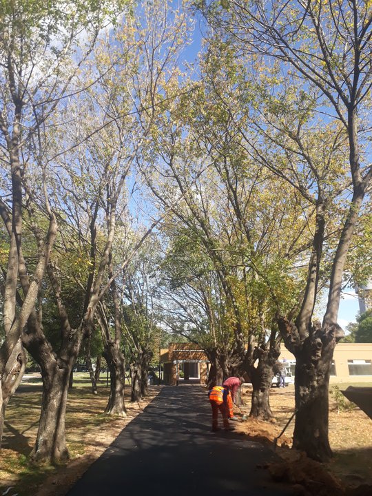 Foto del proyecto