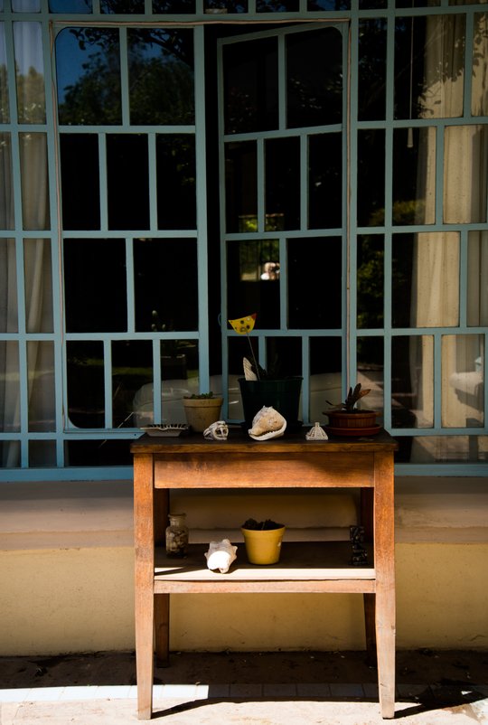 Foto del proyecto