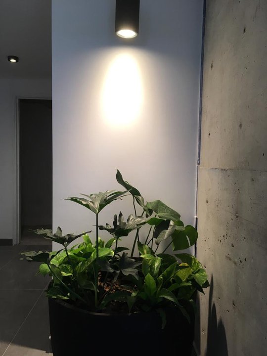 Foto del proyecto