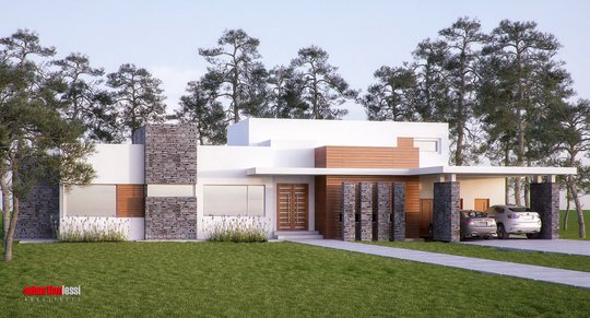 Foto del proyecto