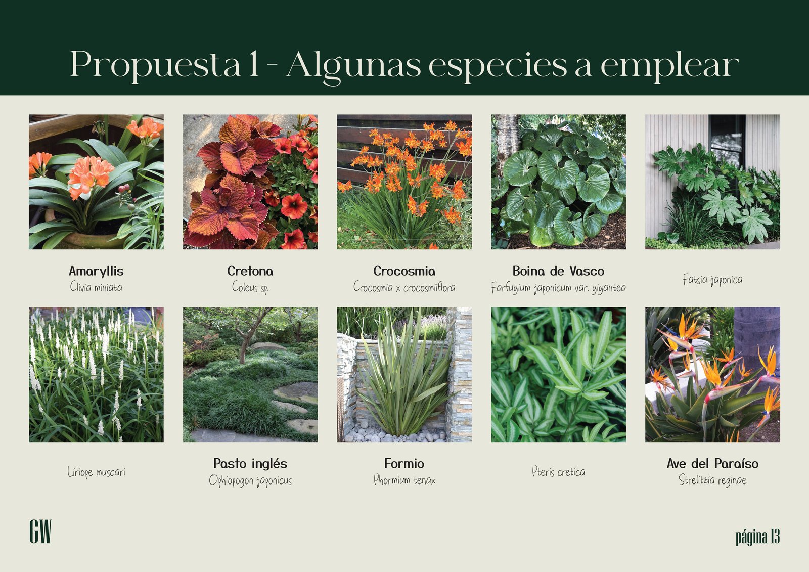 Jardim moderno com plantas variadas e caminhos de pedra e cascalho — projeto Proyecto Alem, por Greenwood Paisajismo, em Alem 540