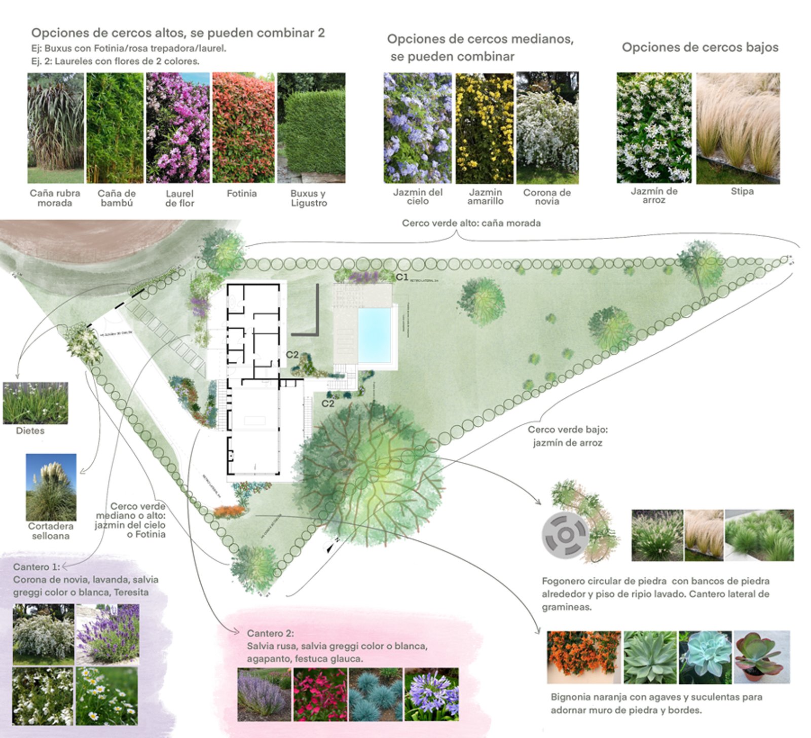 Planta de casa moderna com jardim detalhado e combinações de plantas — projeto Casa Las Vertientes, por Luciana González Anderson, em Salta