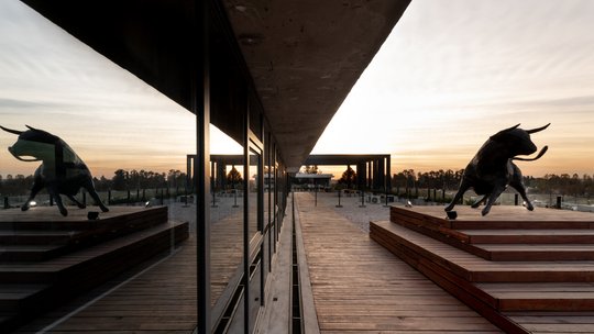 Foto del proyecto